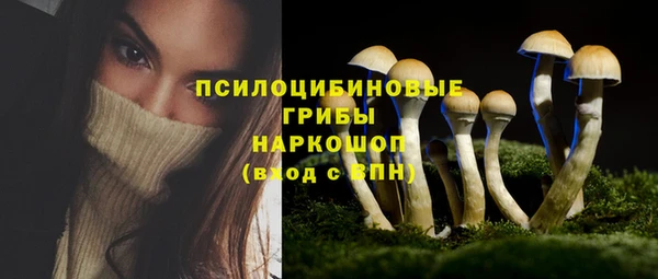ECSTASY Заводоуковск