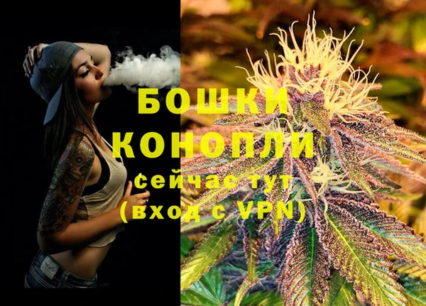 гидропоника Богородицк