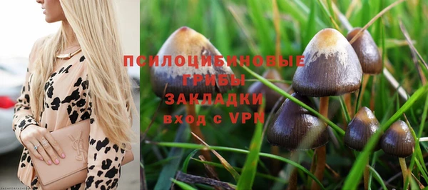 гидропоника Богородицк